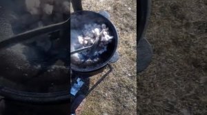 Куриные желудки с картошкой в казане!