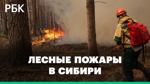 Смог от лесных пожаров подбирается к городам — огонь охватил Сибирь и Дальний Восток