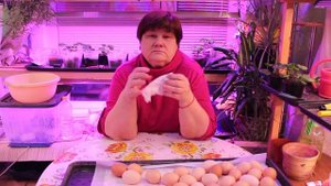 ЮЛИЯ МИНЯЕВА. ВСЯ ПРАВДА О ТОМ, КАКОВО ЭТО - БЫТЬ БЛОГЕРОМ. 19.01.20