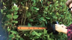 Кусторез аккумуляторный WORX WG259E.9, 52 см, 20 В