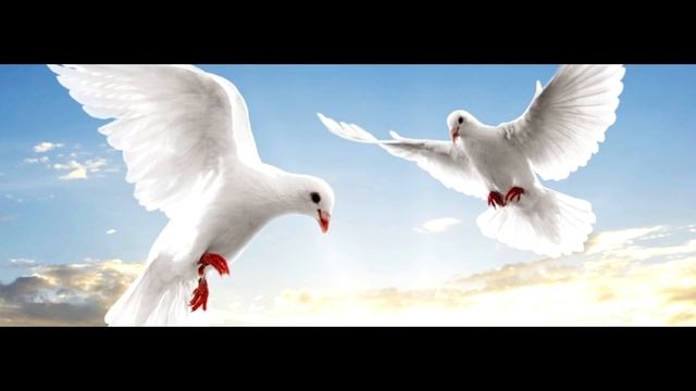 ПЕРЕХОД В НОВУЮ РЕАЛЬНОСТЬ 2019 Магда СУПЕР ТЕМА! смотреть онлайн