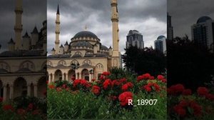 Шейх Ахмад Тамим вопросы и ответы