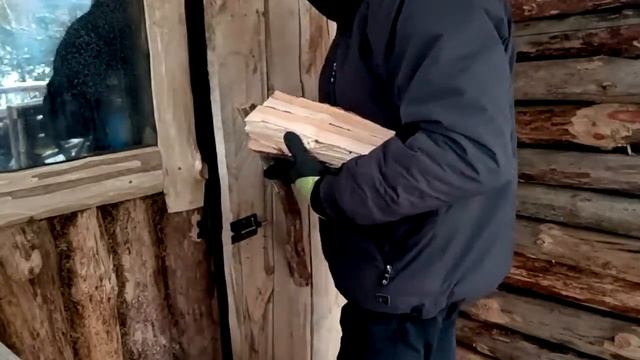 Жизнь в лесной землянке с диким кабаном | Обустройство приюта для ночлега | бушкрафт | bushcraft. смотреть онлайн