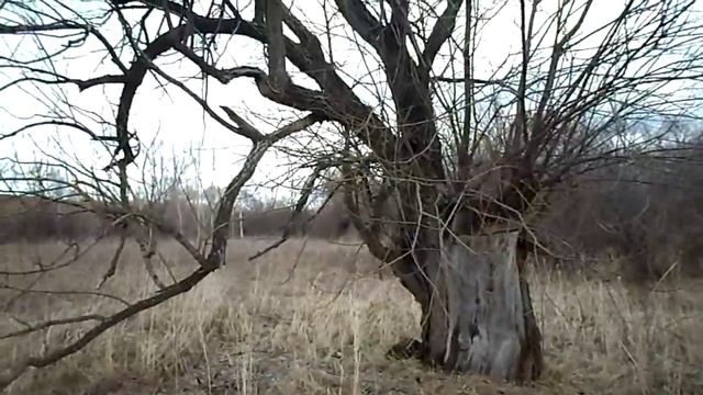 Апрель, время сажать Иву. смотреть онлайн