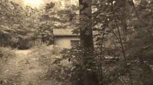 Заброшенный дом ведьмы. Истории про ведьм. Страшилка