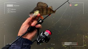 Снасти не для всех! Антинародный комплект для микроджига