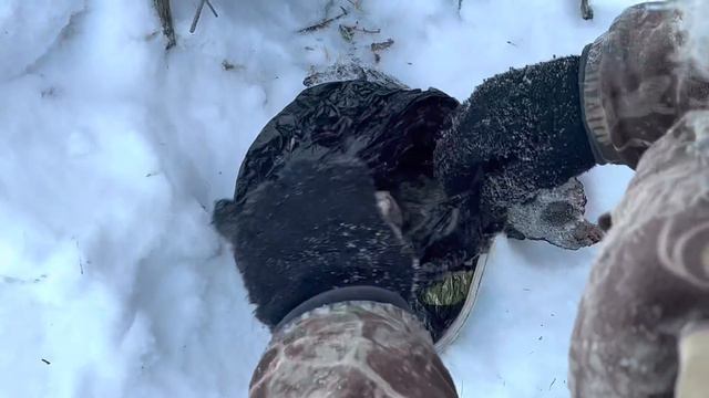 ПРИБАМБАСЫ Отшельника (30 лет одиночества 126 серия)