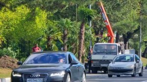 ШИКАРНЫЕ ИЗМЕНЕНИЯ В ГЕЛЕНДЖИКЕ. ПАЛЬМЫ ВЫСАЖИВАЮТ У ПАРКА ВРУНГЕЛЬ