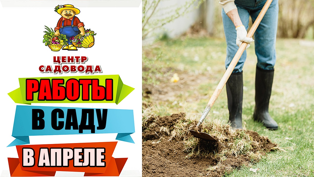 ОСНОВНЫЕ РАБОТЫ В САДУ В АПРЕЛЕ 2022! ЧТО ДЕЛАТЬ?