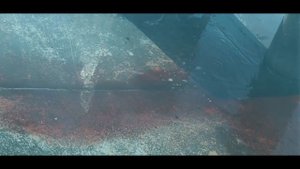 Прощание славянки. Новые слова.