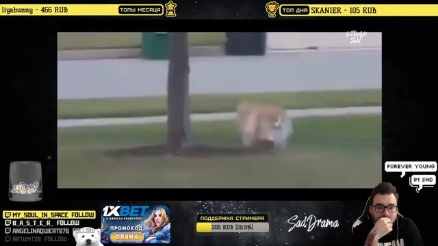 SadDrama смотрит 500 СЕКУНД СМЕХА ЛУЧШИЕ ПРИКОЛЫ | 2018 НОЯБРЬ #246 смотреть онлайн