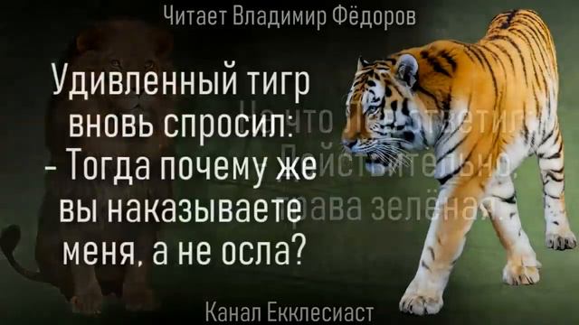Глупый мудрец. Притча - Когда невежество кричит, ум молчит! смотреть онлайн