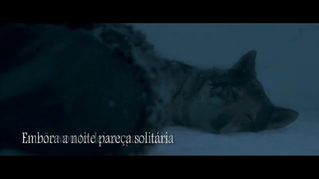 With You Til The End - Tradução (Alpha) смотреть онлайн