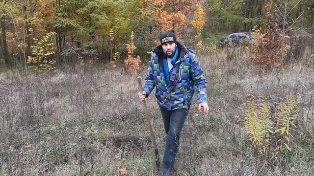 Мед будет всегда в ульях ЕСЛИ все пчеловоды будут так делать.Высаживаем медонос смотреть онлайн