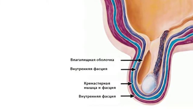 Оперативная урология в СМТ! смотреть онлайн