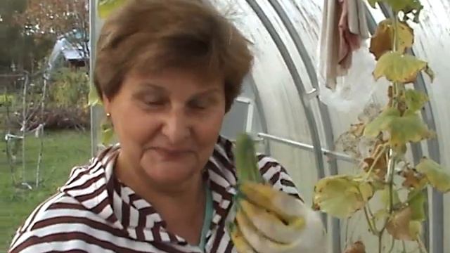 Осенние хлопоты на даче