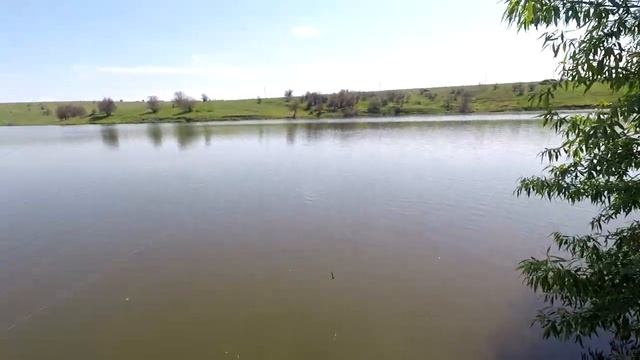 Ловля карпа в нерест! Стоит ли ловить карпа в нерест? Как получилось у меня! смотреть онлайн