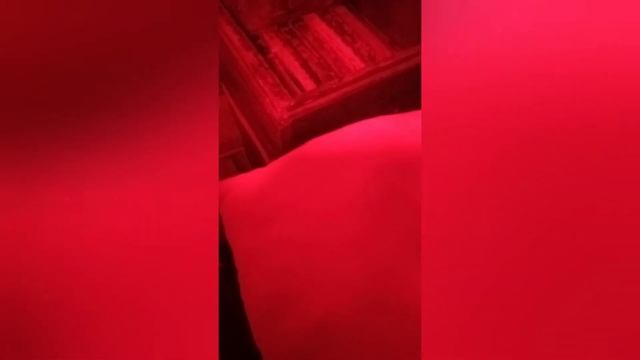 Зимовка пчёл почти на улице без обогрева подогревателей Южный Урал улья дадан рут альпийский удав . смотреть онлайн