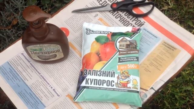 Осенняя обработка хвойников железным купоросом. смотреть онлайн