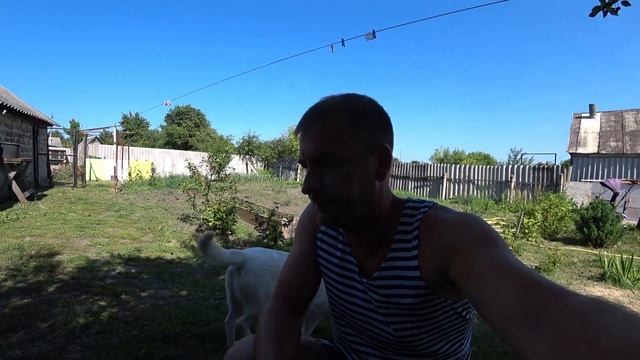 Рецепт простой НО ОЧЕНЬ ВКУСНОЙ ВЯЛЕННОЙ рыбы. смотреть онлайн