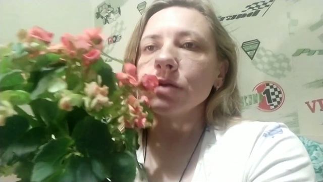 Последний букет из сада в этом году. смотреть онлайн