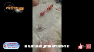 Дети матерятся