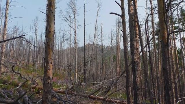 По берегам Байкала. Часть 4. Большая Байкальская тропа от Большого Голоустного до Бугульдейки смотреть онлайн