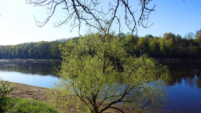 Весна, Витебские рыбаки, река Лужеснянка и Западная двина 2023