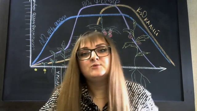 ИТОГИ СЕЗОНА. ВСЕ О ТОМАТАХ. ПИТАНИЕ. СОРТА. БОЛЕЗНИ. УХОД. ТЕПЛИЦА смотреть онлайн