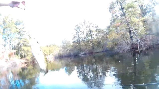 Bass Fishing and my Girlfriend Out-Fished Me (AGAIN!) смотреть онлайн