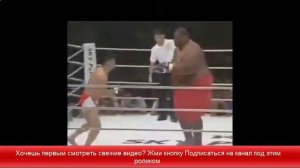 бой без правил в разных весовых категориях кто победит