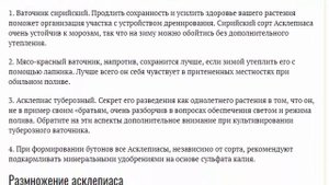 Цветок асклепиас или ваточник фото Посадка и уход в открытом грунте Выращивание из семян