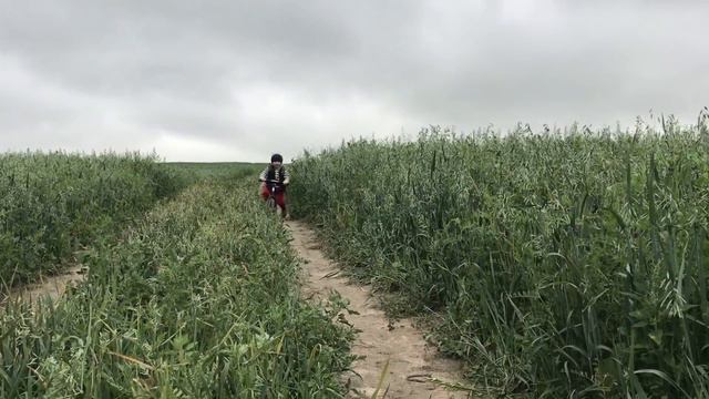 Прогулка с детьми по полю. Репейники в волосах смотреть онлайн