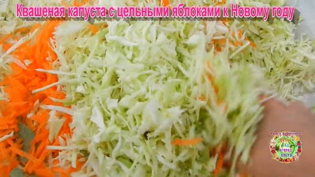 Квашеная капуста с цельными яблоками к Новому году смотреть онлайн