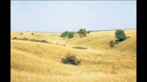 Казацкая песня  Степь широкая