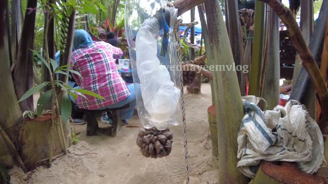 மலேசியாவில் பதநீர் | Viral Food | Nira Nipah | Pak Man смотреть онлайн