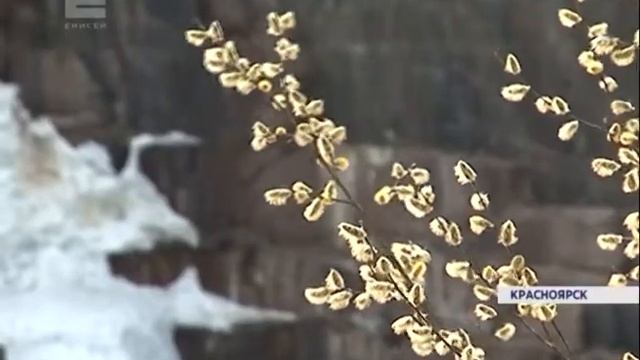 Снег с дождем, сильный ветер и ночные заморозки ждут красноярцев до конца недели смотреть онлайн