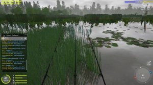 РУССКАЯ РЫБАЛКА 4(RUSSIAN FISHING 4) -2 ТРОФЕЙНЫЙХ ЗЕРКАЛЬНЫХ КАРПА