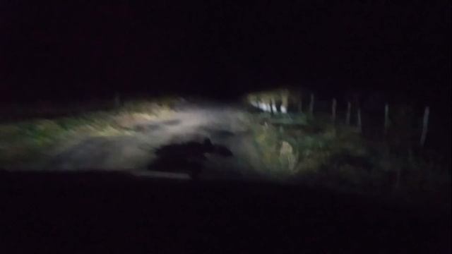 LED лампы Н7 на Рено Логан 2 смотреть онлайн