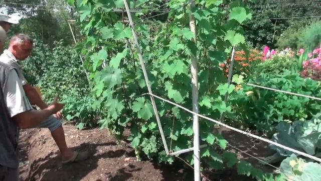 Халиман Евгений Пантелеевич