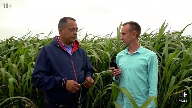 АФ АНЯК часть 1 | Травосмесь Грин Спирит Альфа Валью, характеристика, отличия и польза.#агрономы смотреть онлайн