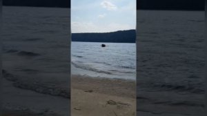 Catran-430M+Suzuki 9.9 4-такт,вторая жизнь катера.#suzuki #catran#катран #катер#лодка