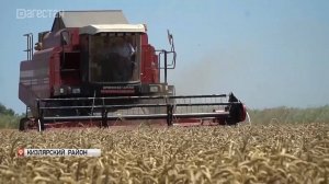 За время действия контрсанкций производство сельхозпродукции в Дагестане выросло в 2,5 раза