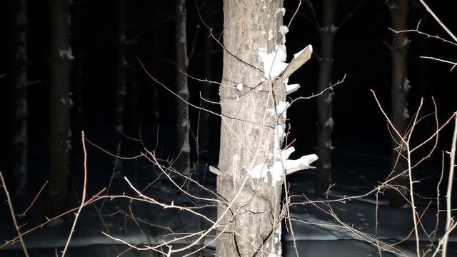 Мы сняли НЛО/Чёрный ТРЕУГОЛЬНИК в секретной зоне /ТРЕЙЛЕР