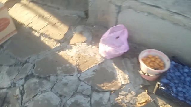 Дача родителей смотреть онлайн