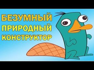 Утконос - как совместить несочетаемое
