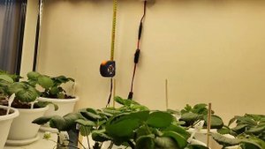 Фитолампа для клубники 150 ватт | Выращивание на балконе и лоджии