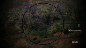 How to Efficiently Hunt in the Bandera Region! - Hunting Simulator 2