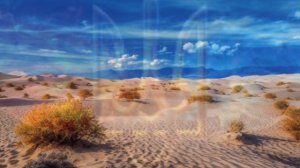 Сарги - Пустыне грёз