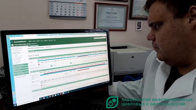 Лаборатория информационных, цифровых и биотехнологий ФГБНУ ФНЦ риса смотреть онлайн